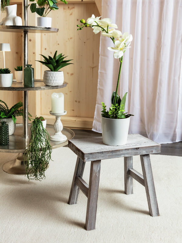 Kunstpflanze Luara; 26 cm (W); zielony/szary