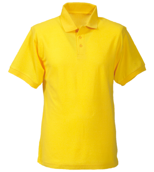 Koszulka polo męska Best (pozostałe kolory)