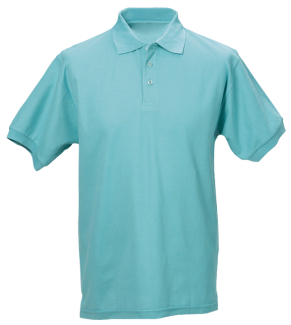 Koszulka polo męska Best (pozostałe kolory)