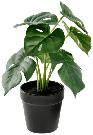 Kunstpflanze Nivia; 25 cm (W); zielony/czarny