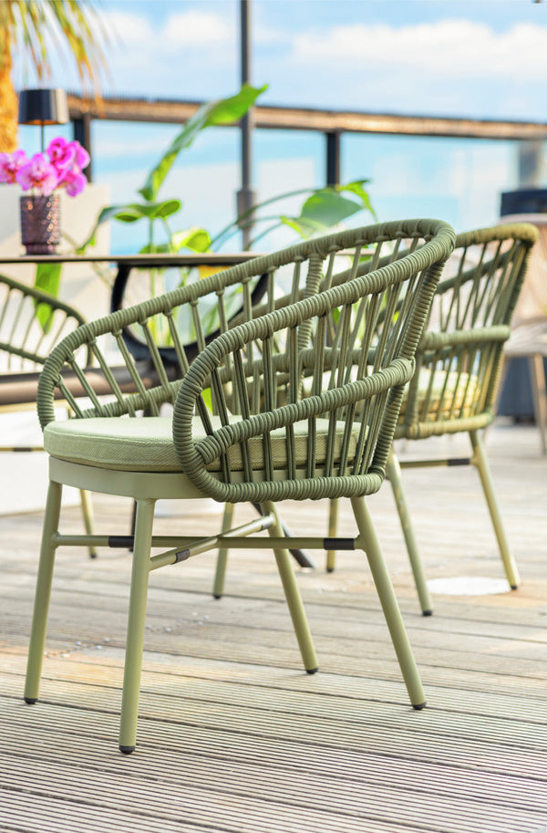 Stuhl Pina; 56x61x77 cm (SxGxW); oliwka; 2 sztuka / opakowanie