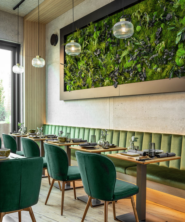 krzesło Lian aksamit; 56x58x86 cm (SxGxW); siedzisko jodła zielona, stelaż jasny brązowy; 2 sztuka / opakowanie