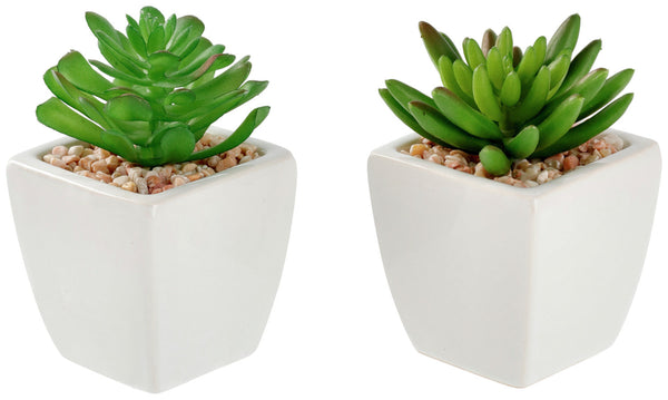 zestaw sztucznych roślin Afra; 5.5x11.5 cm (ØxW); biały/zielony