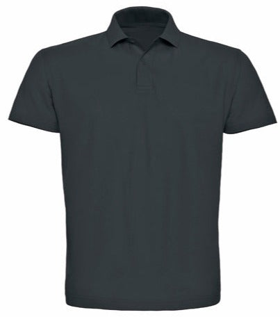 Koszulka polo męska Standard (kolor bestseller)