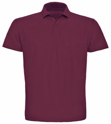 Koszulka polo męska Standard (pozostałe kolory)