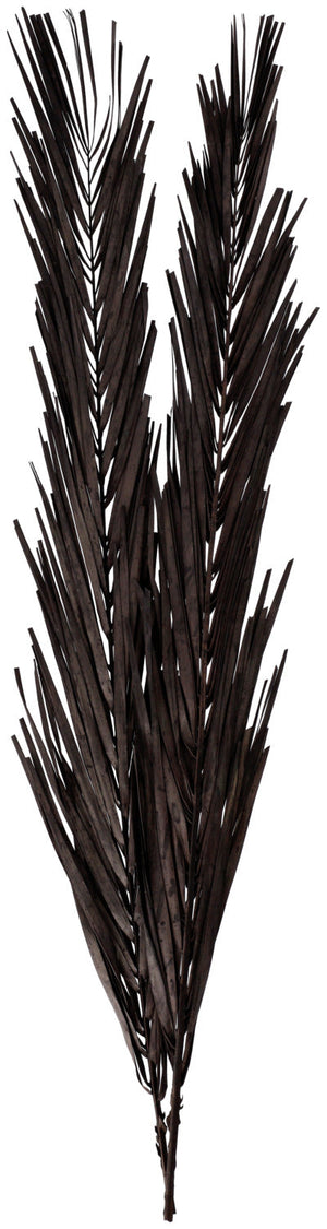 Trockenblumenzweig Abbie; 97 cm (D); czarny