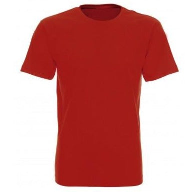 T-shirt męski Heavy (kolor bestseller)