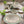 Pastateller Mercury; 600ml, 30x6.5 cm (ØxW); zielony/brązowy; okrągły; 4 sztuka / opakowanie