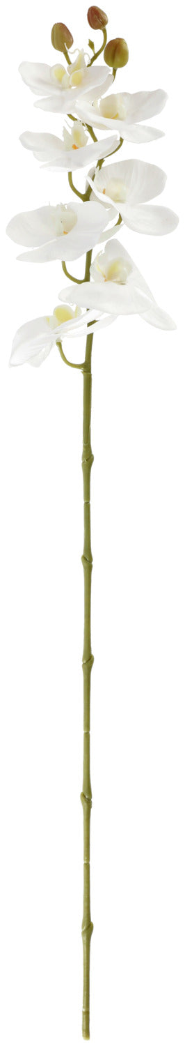 gałąź orchidei Mabou; 95 cm (D); biały/zielony