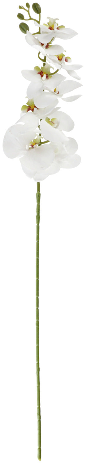 gałąź orchidei Macey; 83 cm (D); biały/zielony