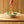 Teller tief Pine Relief rund coup; 400 ml