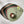 talerz z niskim rantem Snug; 13.5x2 cm (ØxW); oliwka; okrągły; 4 sztuka / opakowanie