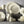 talerz płaski Skyline; 28 cm (Ø); biel kremowa; okrągły; 6 sztuka / opakowanie