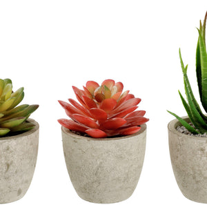 zestaw sztucznych roślin Afeni; 6.5x14 cm (ØxW); szary/zielony