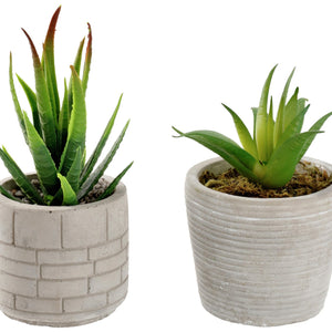 zestaw sztucznych roślin Afia; 6.5x14 cm (ØxW); szary/zielony