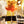 kieliszek do koktajli / szampana Timeless; 270 ml