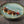 talerz płaski Madera Mint; 25 cm (Ø); turkusowy/brązowy/czarny; okrągły; 12 sztuka / opakowanie