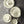 talerz płaski Skyline; 31 cm (Ø); biel kremowa; okrągły; 4 sztuka / opakowanie