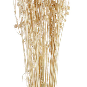 Trockenblumenbundle Anando; 60 cm (D); naturalny