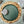 talerz z niskim rantem Snug; 26x2.5 cm (ØxW); zielony; okrągły; 4 sztuka / opakowanie