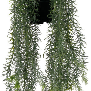 roślina wisząca Hiba; 80 cm (W); zielony/czarny