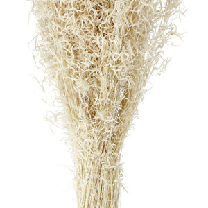 Trockenblumenbundle Akemi; 60 cm (D); naturalny