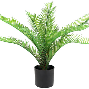 palma Miki; 54 cm (W); zielony/czarny