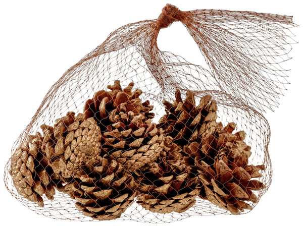 szyszki Dalip złote; 4 cm (Ø); brązowy/złoto