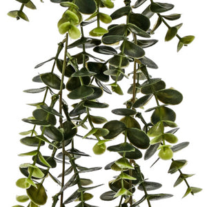 roślina wisząca Hafsa; 66 cm (D); zielony/szary