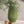 Vase Alene; 15x24.5 cm (ØxW); oliwka
