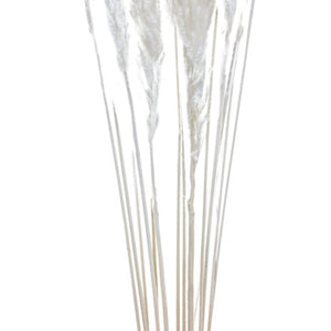trawa pampasowa Adiba; 70 cm (D); biel kremowa