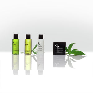 zestaw próbny Green Tea neo 4-częściowy; wielokolorowy