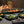 Teller flach Black Reef Porzellan