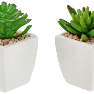 zestaw sztucznych roślin Afra; 5.5x11.5 cm (ØxW); biały/zielony