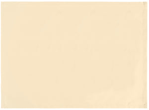 podkładka na stół Palermo; 32x45 cm (SxD); szampan; 6 sztuka / opakowanie
