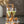 kieliszek do szampana Teplena; 160ml, 5.3x19.8 cm (ØxW); transparentny; 6 sztuka / opakowanie