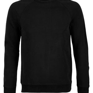 bluza męska Raglan