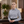 Bluzka damska Standard Stretch