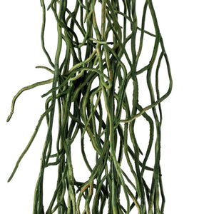 roślina wisząca Fiza; 50 cm (W); zielony