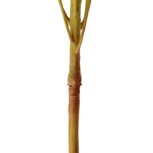 sztuczny kwiat Maaret; 70x11 cm (DxS); biały/różowy/zielony