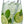 Longdrinkglas Disco; 450 ml