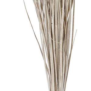 gałązki liści palmowych Abeba z diodami LED; 80 cm (D); szampan