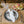 talerz płaski z rantem Etana; 30x1.4 cm (ØxW); biały/antracyt; okrągły; 4 sztuka / opakowanie