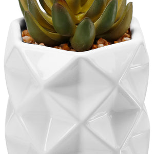 roślina sztuczna Laiba grün/weiß; 9x13 cm (ØxW); zielony/biały