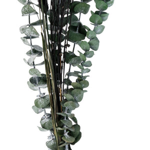Trockenblumenbundle Benira; 51 cm (D); ciemny zielony/czarny