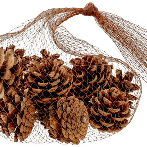 szyszki Dalip; 4 cm (Ø); brązowy