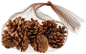 szyszki Dalip; 4 cm (Ø); brązowy