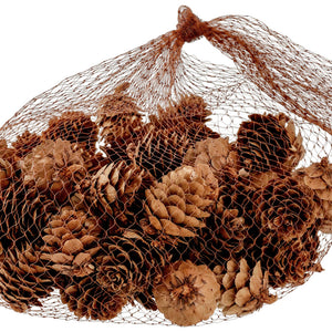 szyszki Brinda; 2 cm (Ø); brązowy