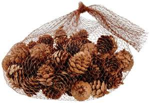 szyszki Brinda; 2 cm (Ø); brązowy