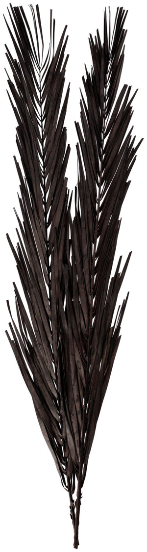 Trockenblumenzweig Abbie; 97 cm (D); czarny